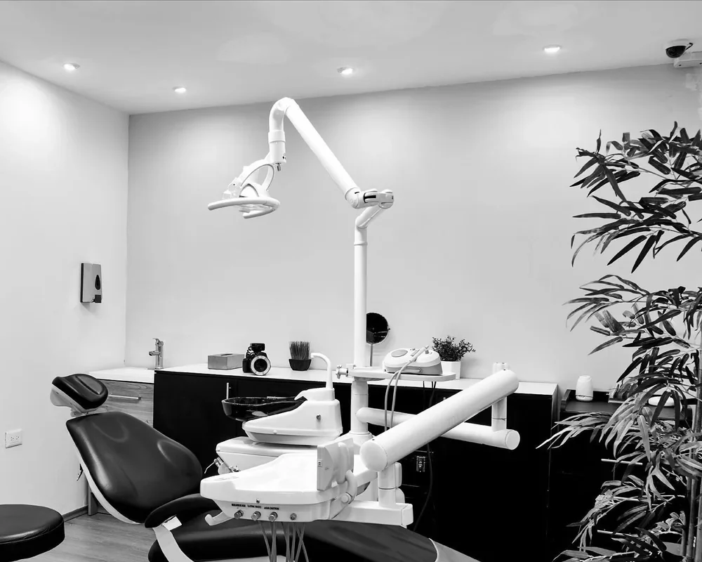 Consultorio de Smile Republic con sillón dental negro, lámpara blanca y plantas, en blanco y negro